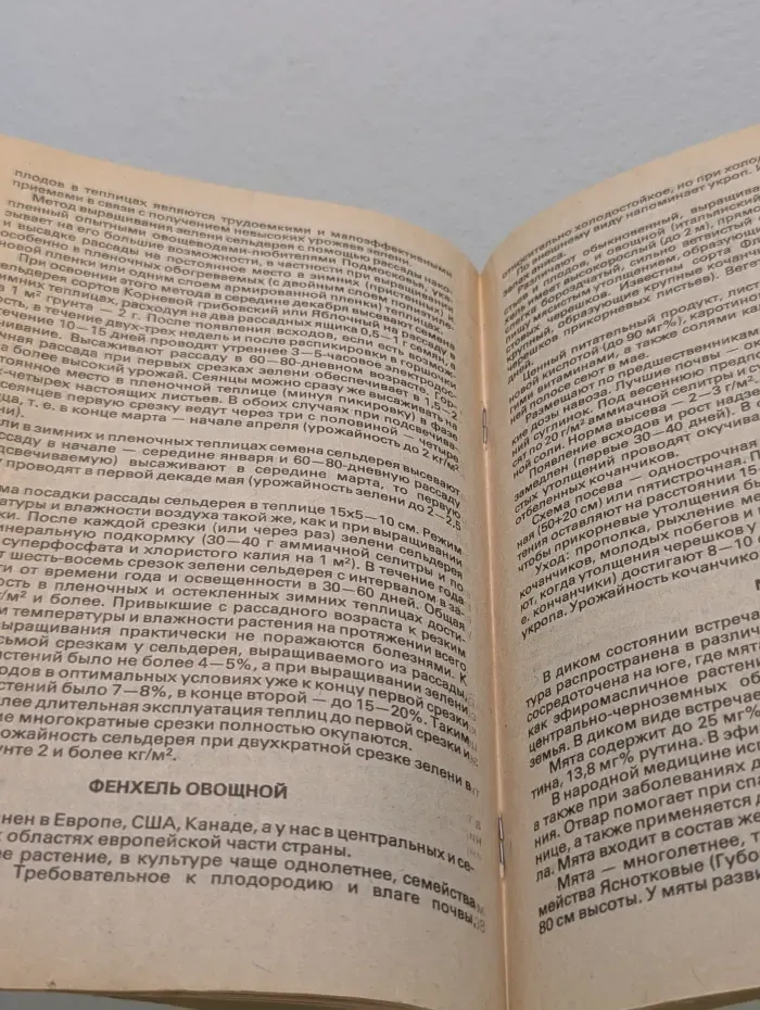 Витамины с грядки