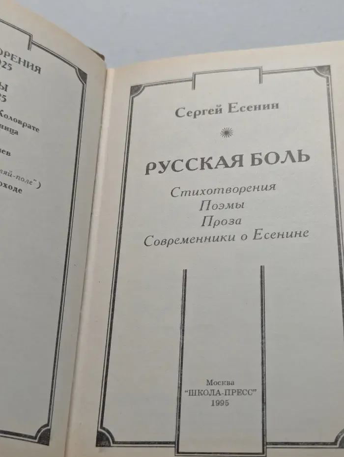 Круг чтения: Школьная программа. Русская боль. Стихотворения. Поэмы. Проза. Современники о Есенине