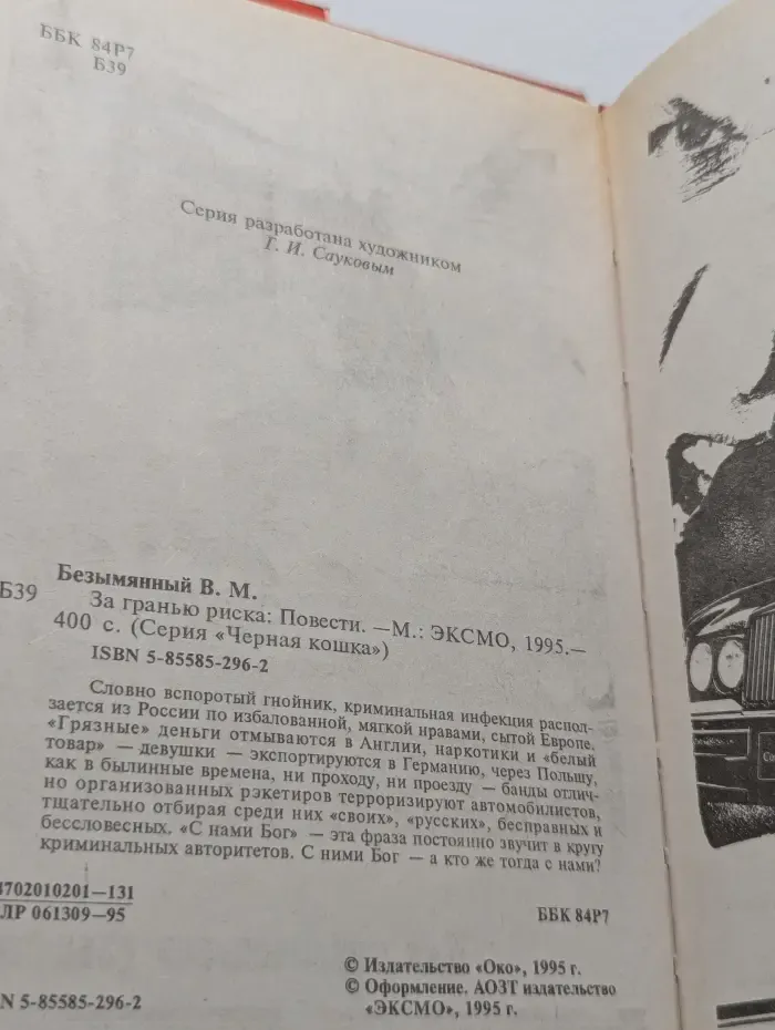 Черная кошка. За гранью риска