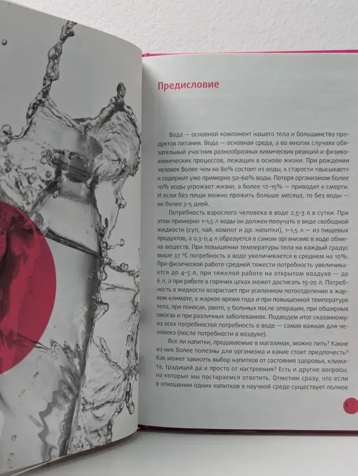 Лечебные свойства продуктов. Напитки на нашем столе