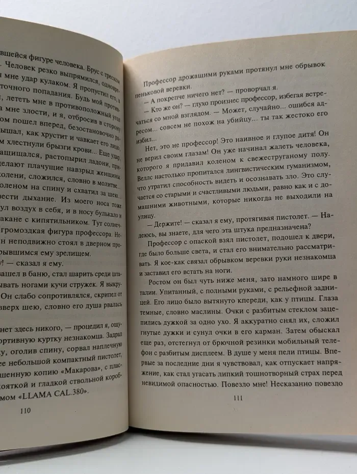 Черная кошка. Шахидка с голубыми глазами