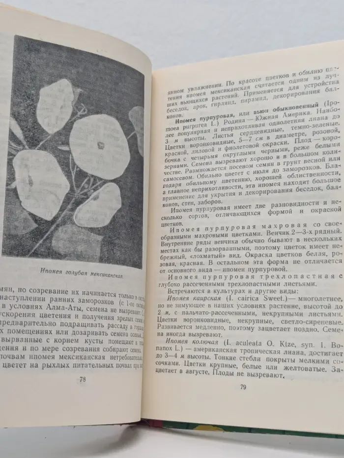 Цветы
