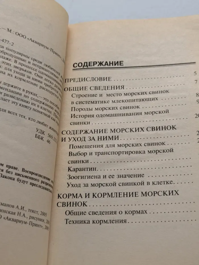 Морские свинки