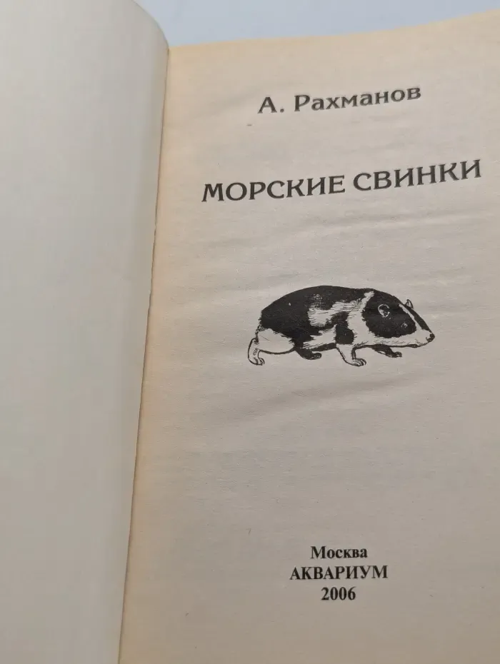 Морские свинки