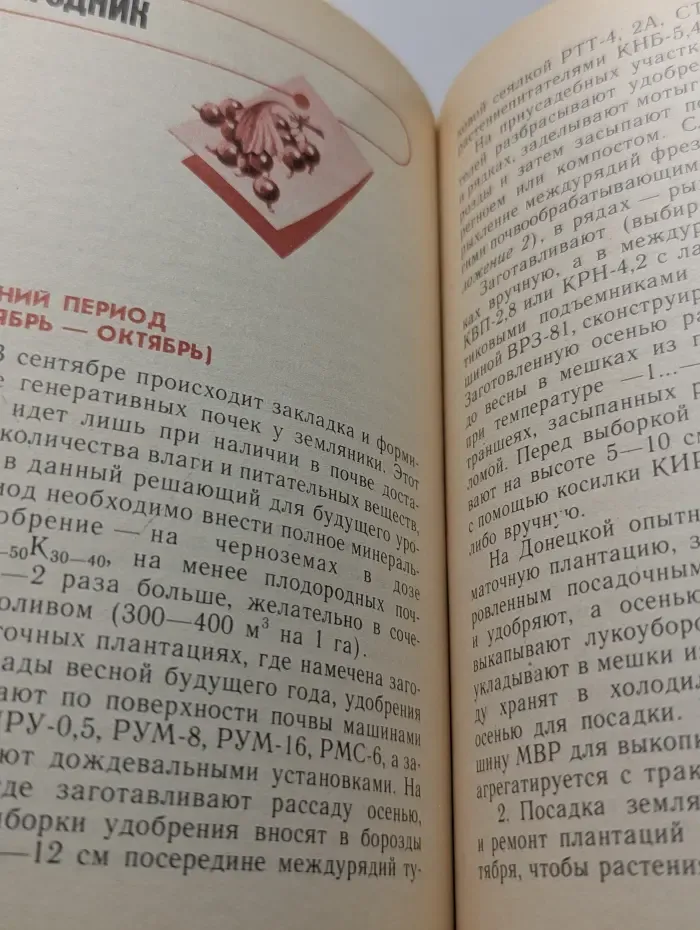 Сезонные работы в саду