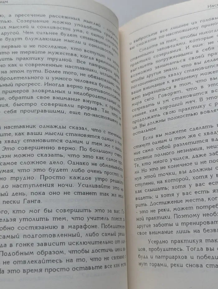 Мудрость каменного льва