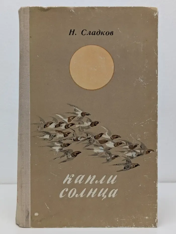 Капли солнца