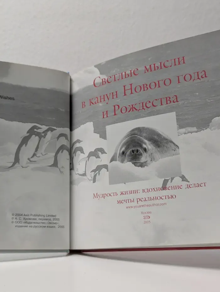 Светлые мысли в канун Нового года и Рождества. Мудрость жизни: вдохновение делает мечты реальностью