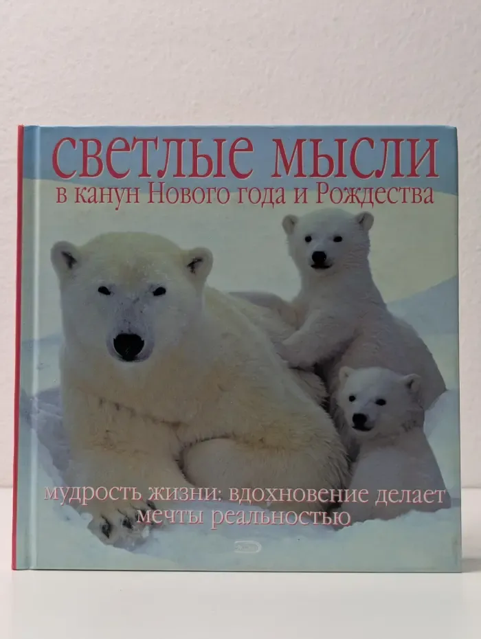 Светлые мысли в канун Нового года и Рождества. Мудрость жизни: вдохновение делает мечты реальностью