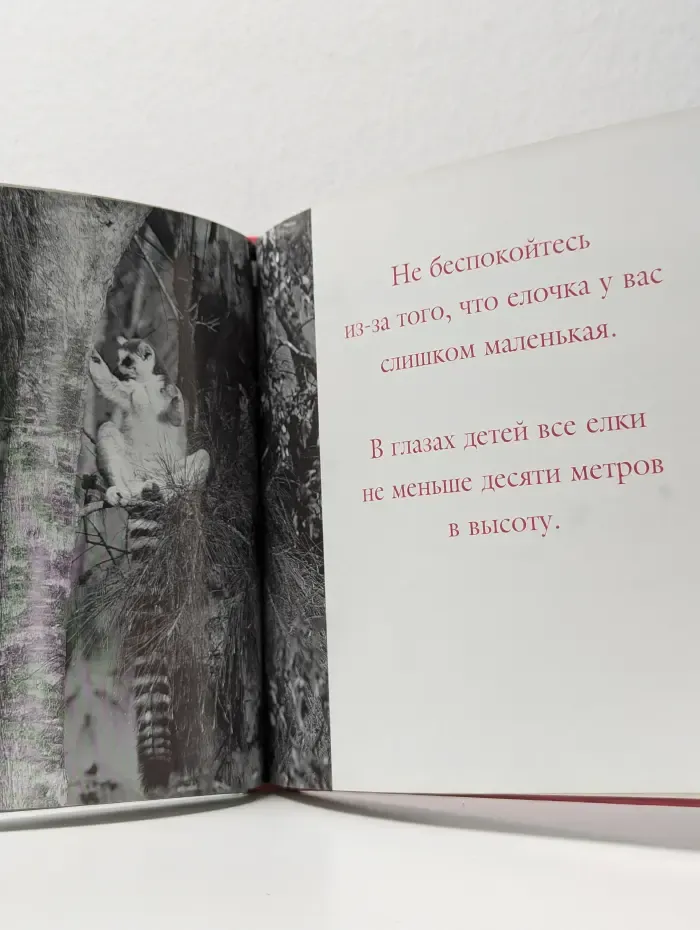 Светлые мысли в канун Нового года и Рождества. Мудрость жизни: вдохновение делает мечты реальностью