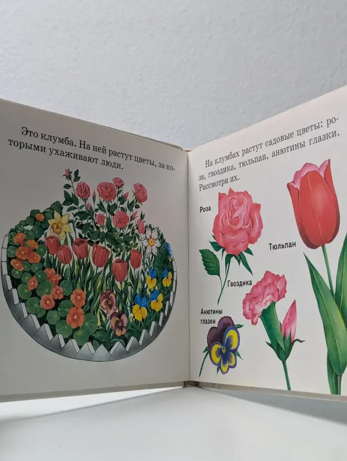 Растения и животные