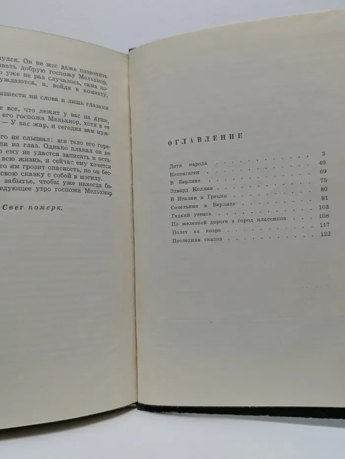 Гадкий утенок