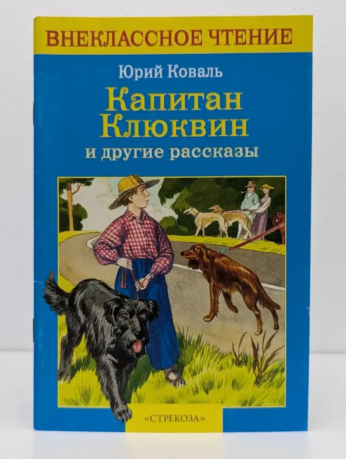 Внеклассное чтение. Капитан Клюквин и другие рассказы