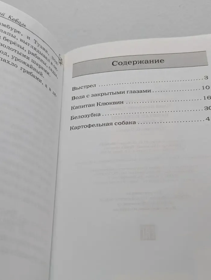 Внеклассное чтение. Капитан Клюквин и другие рассказы