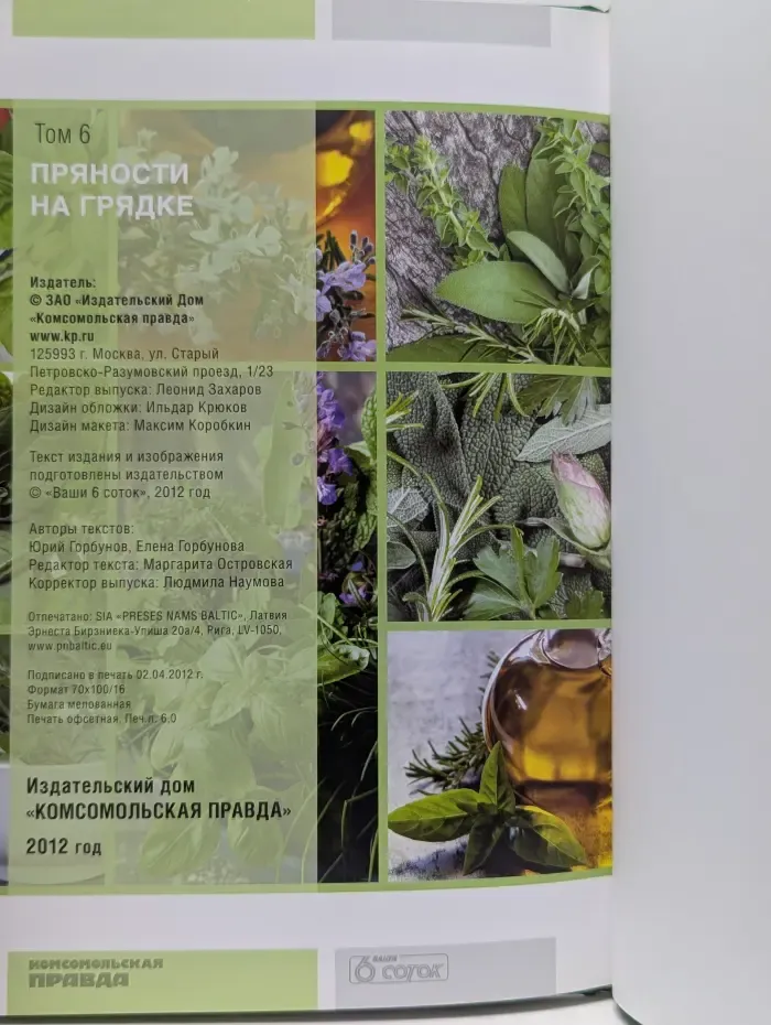 Моя чудесная дача. Том 6. Пряности на грядке