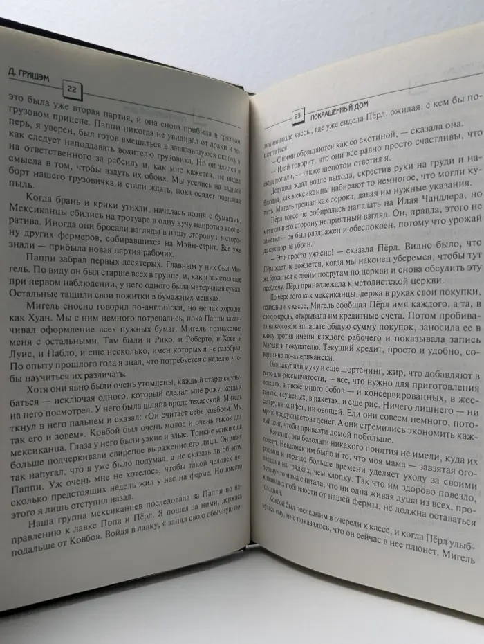 The International Bestseller. Покрашенный дом