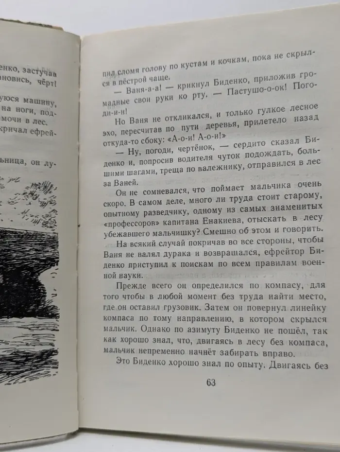 Сын полка