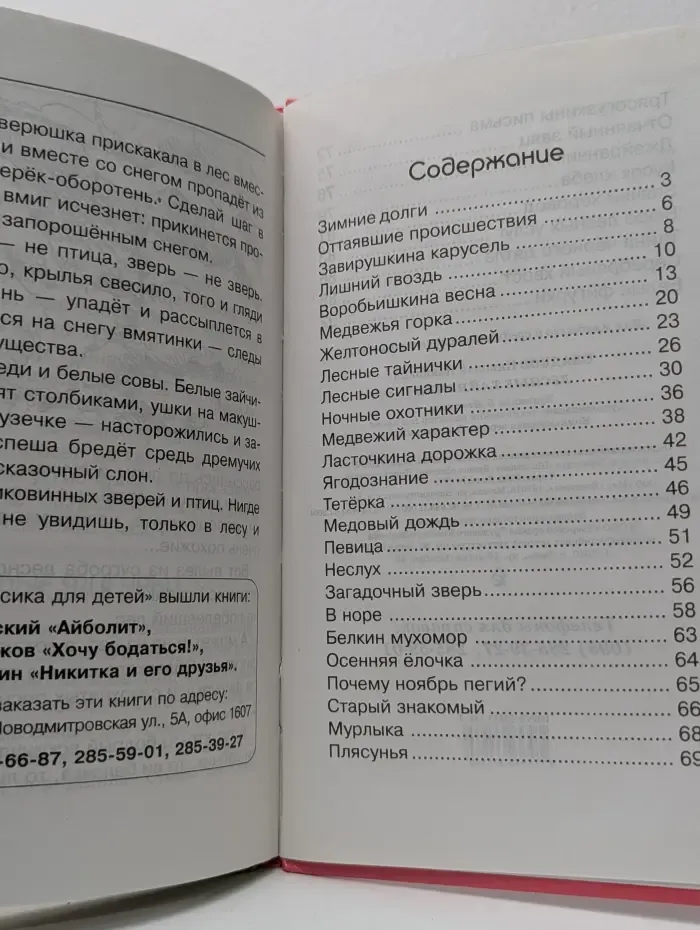 Лесные тайнички
