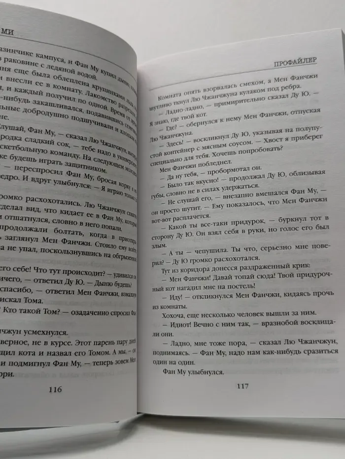 Tok. Иямису-триллер о профайлерах и маньяках. Профайлер