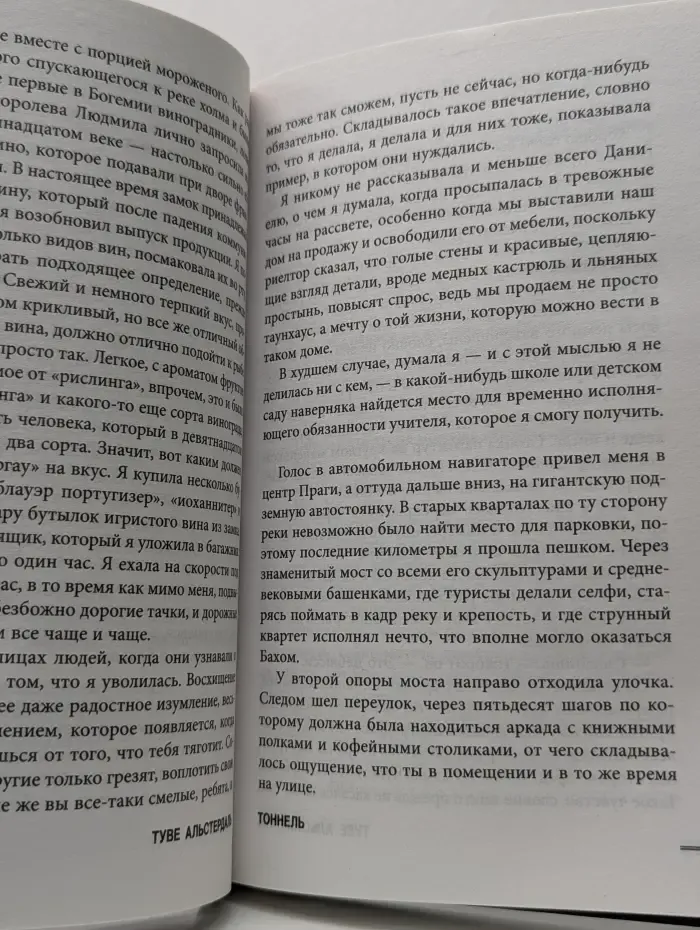 Inspiria. Тоннель