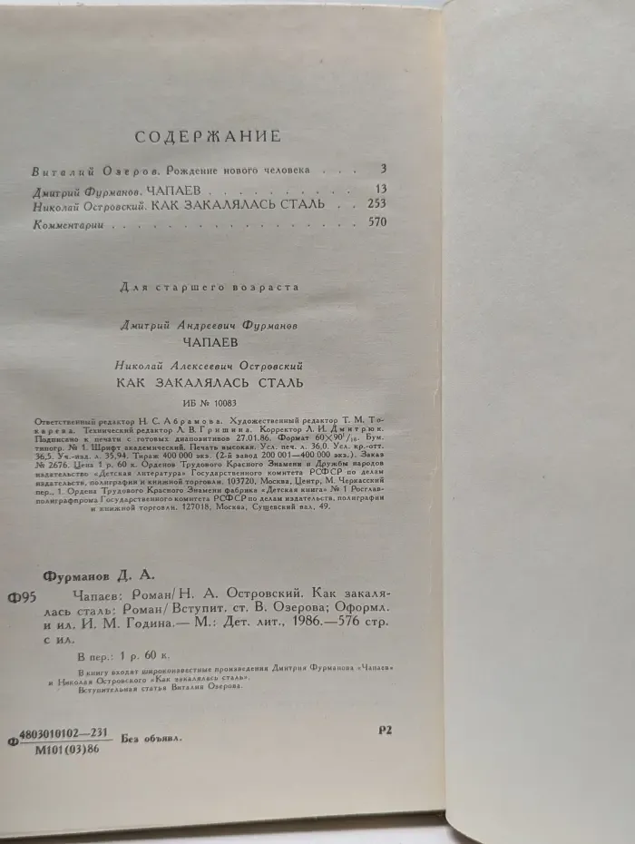 Библиотека мировой литературы для детей. Чапаев. Как закалялась сталь