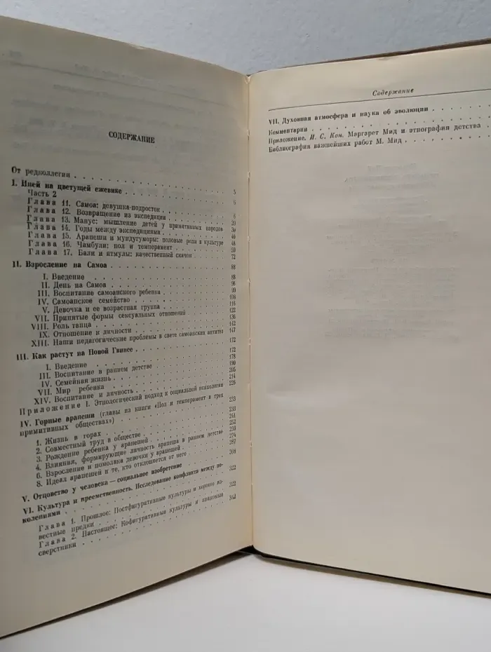 Культура и мир детства