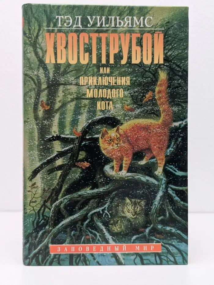 Хвосттрубой, или Приключения молодого кота