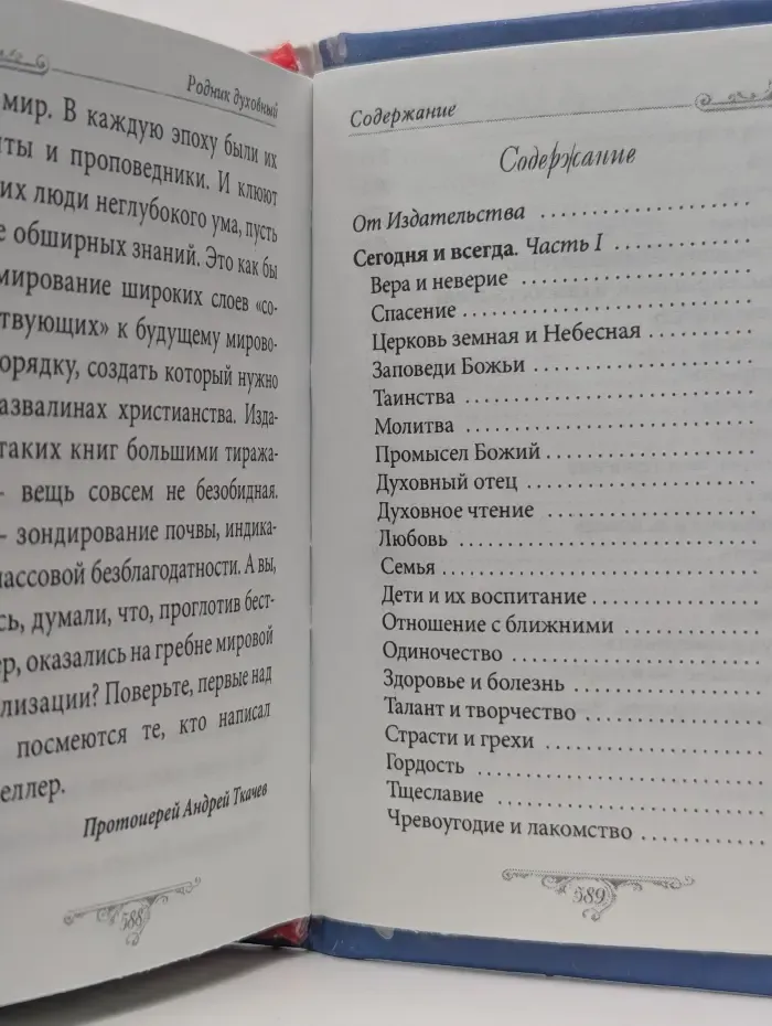 Родник духовный. О вечных проблемах