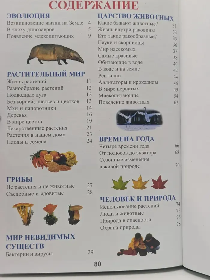 Познавательная книга для детей. Живая природа