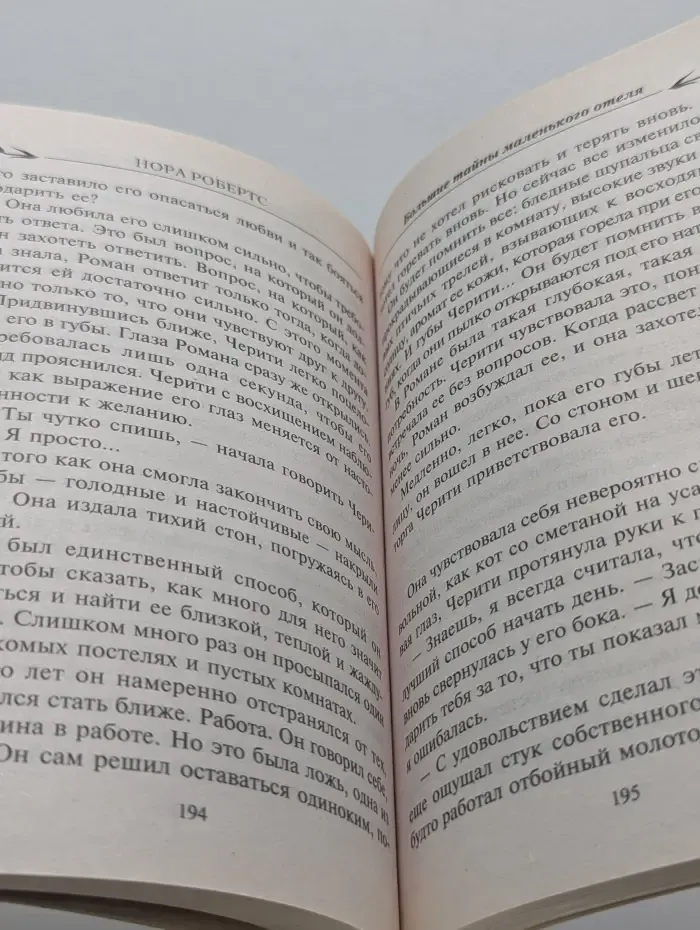 Большие тайны маленького отеля