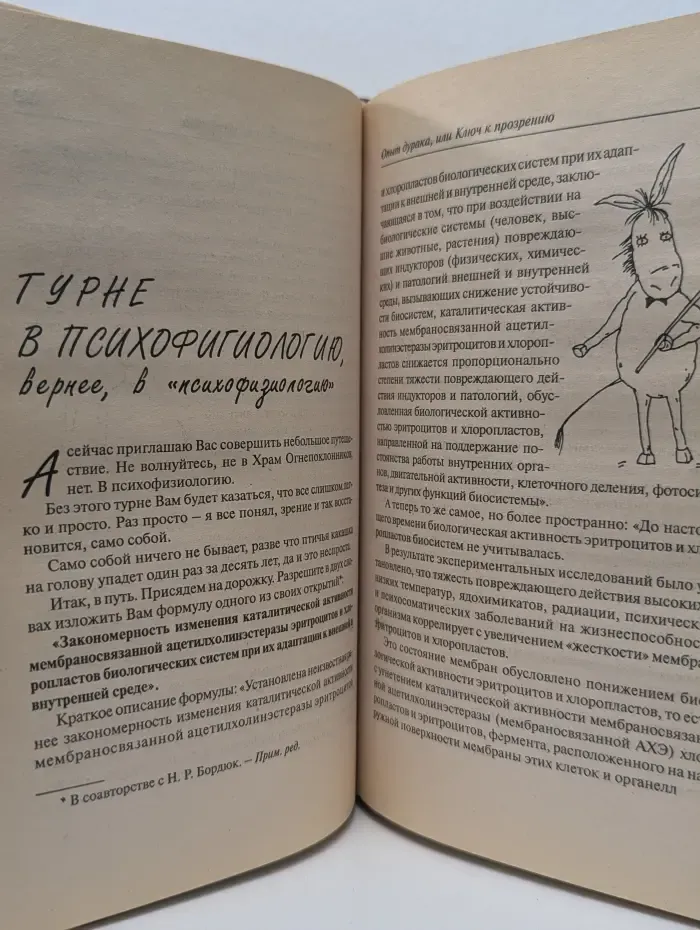 Опыт дурака, или Ключ к прозрению. Как избавиться от очков
