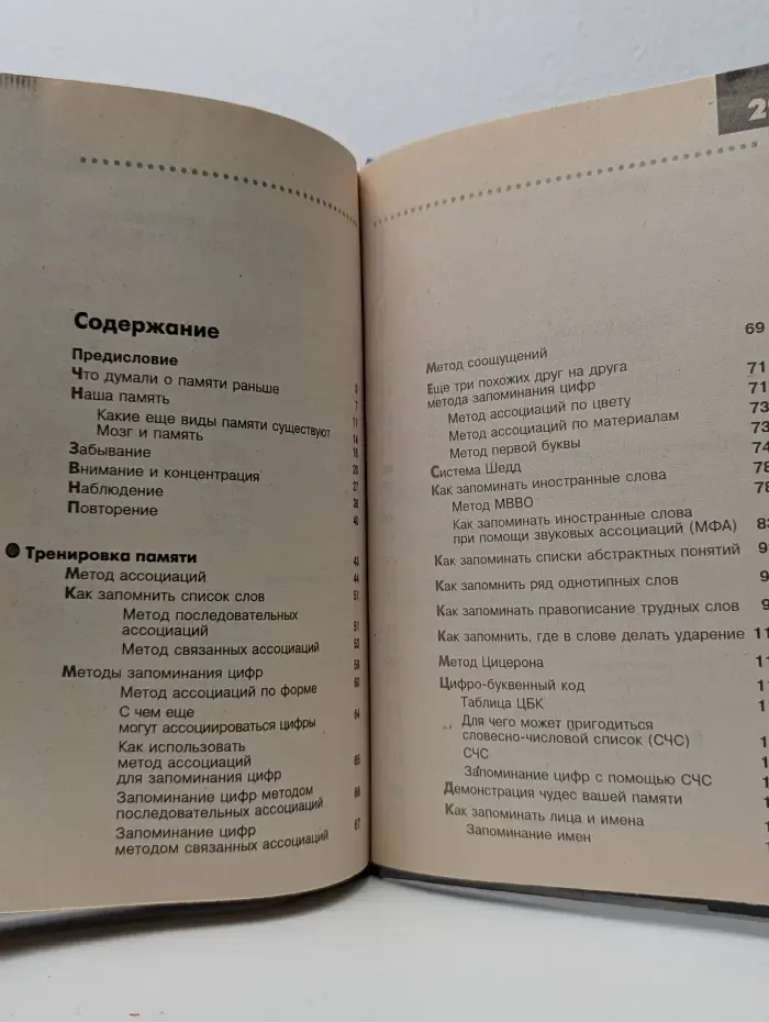Самостоятельно от Азов к Мастерству. Самоучитель по развитию памяти. Техника скоростного запоминания