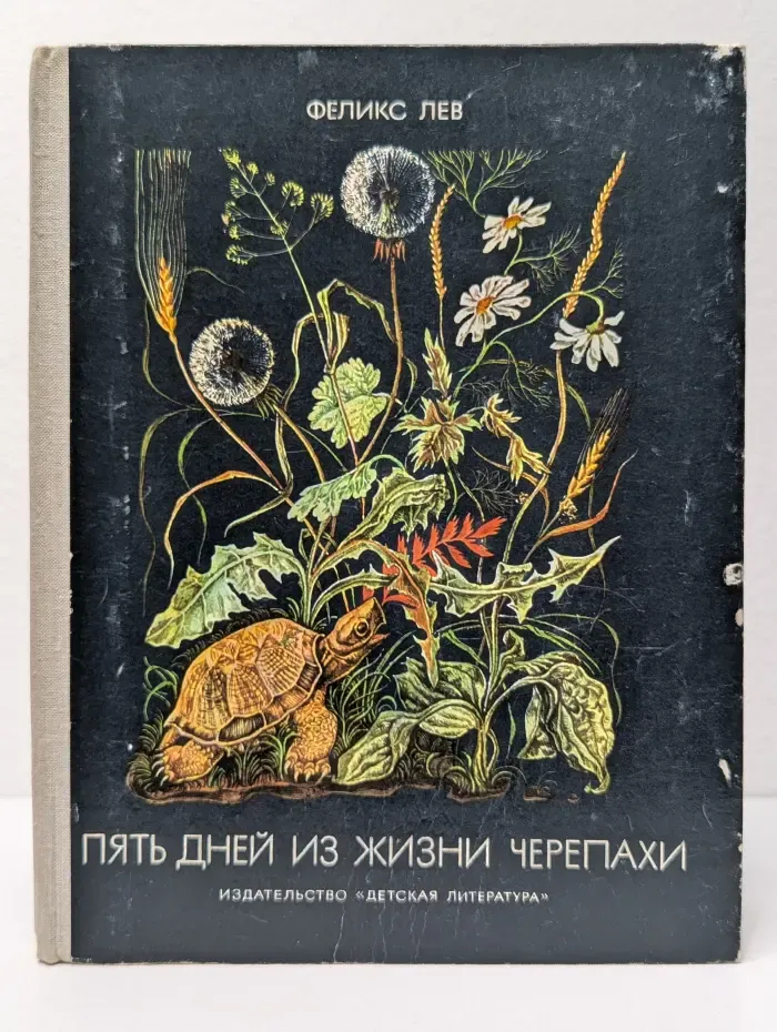 Пять дней из жизни черепахи