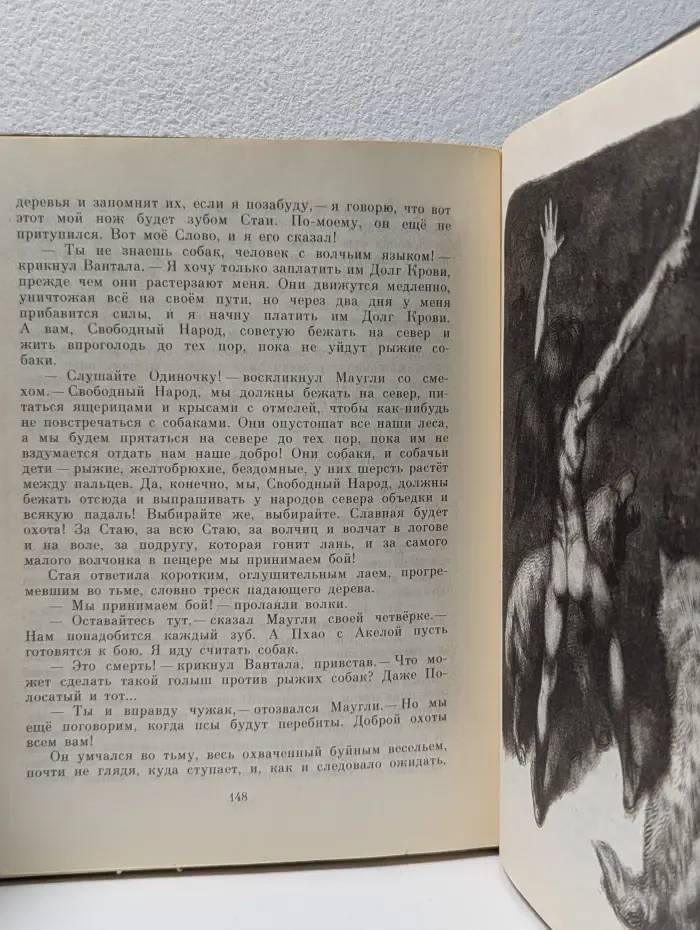 Школьная библиотека. Маугли