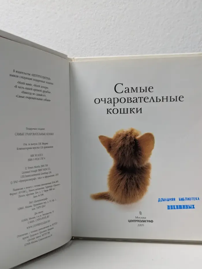 Самые очаровательные кошки