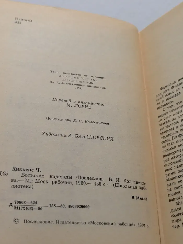 Школьная библиотека. Большие надежды