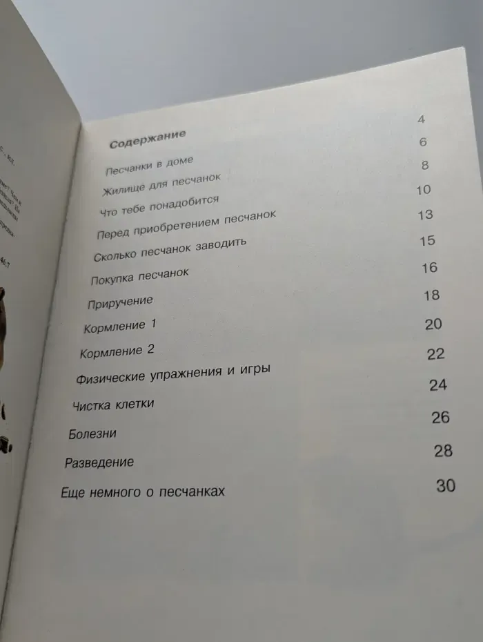 Твои питомцы. Песчанки