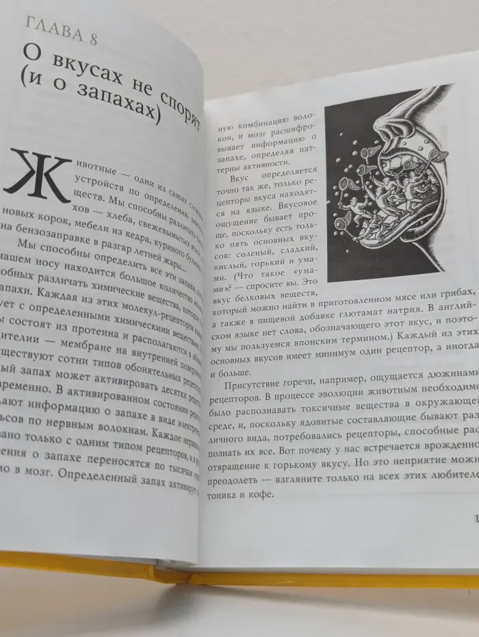 Тайны нашего мозга, или Почему умные люди делают глупости
