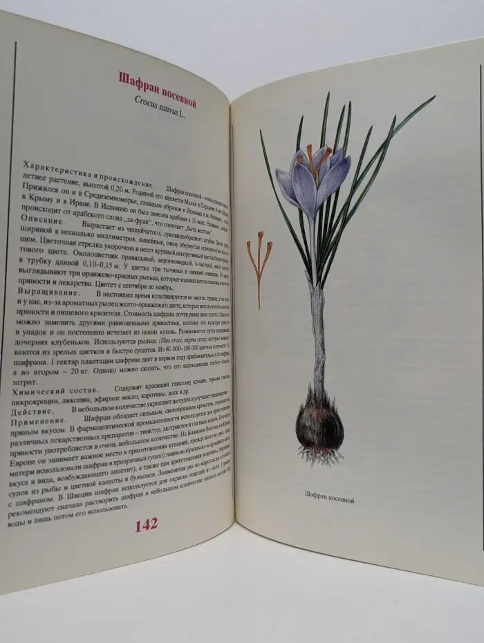 Пряности