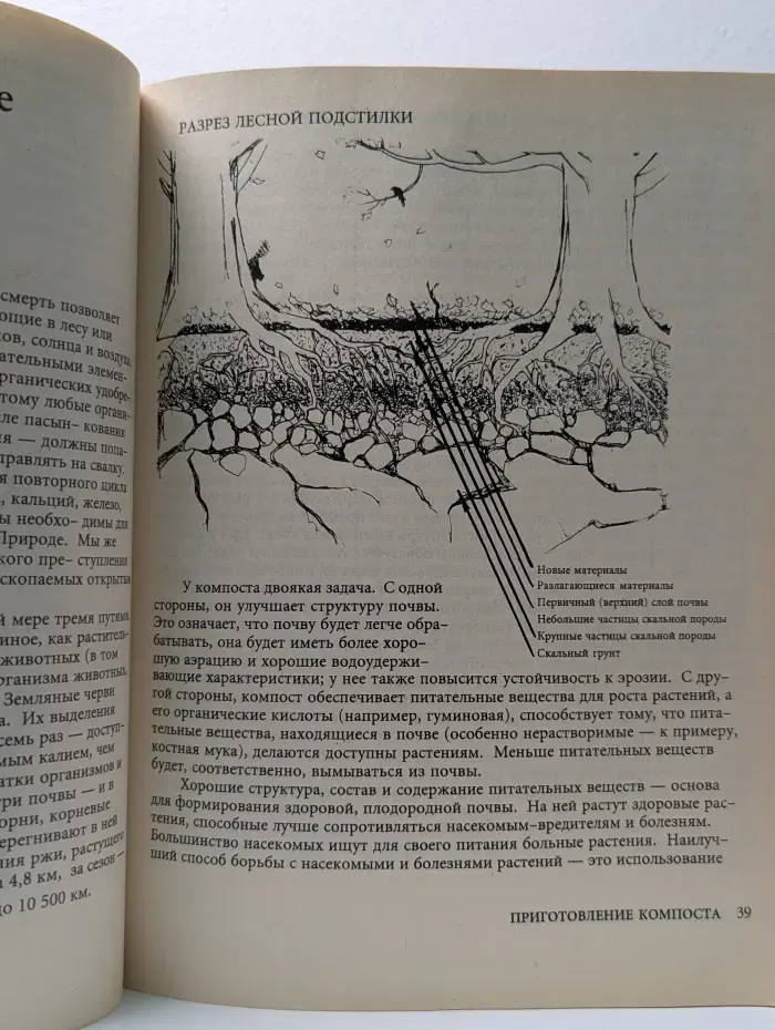 Как выращивать больше овощей