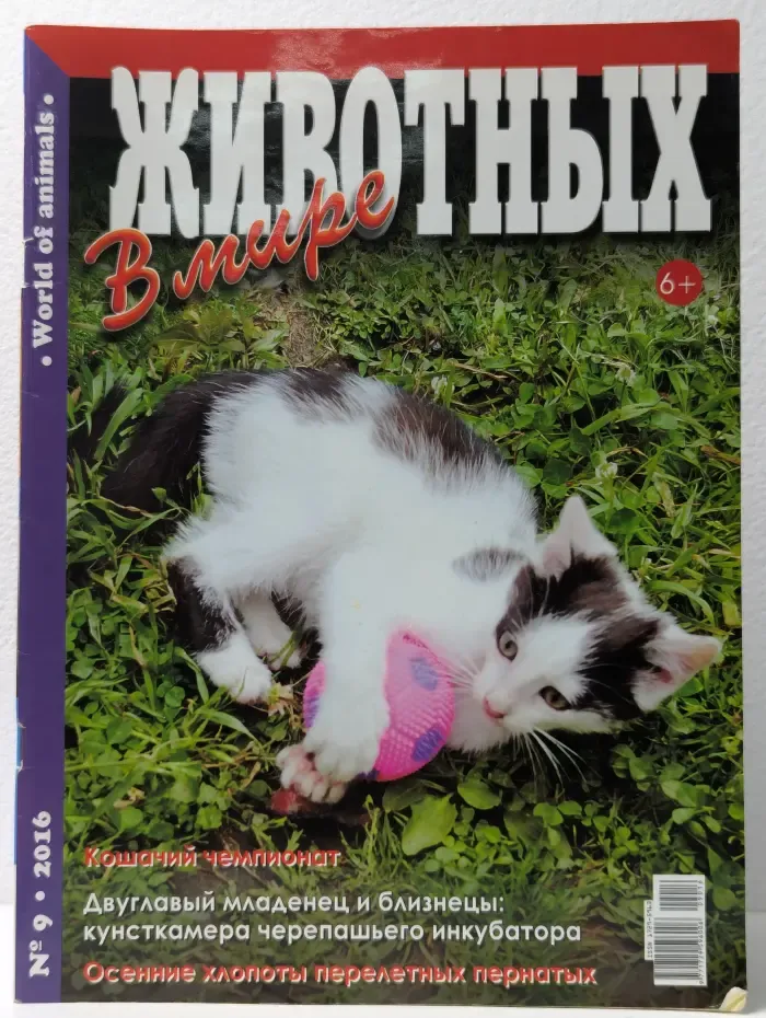 В мире животных. Выпуск № 9/2016
