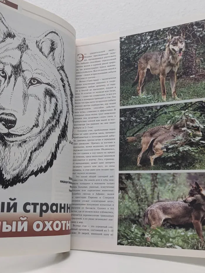 В мире животных. Выпуск № 6/2018