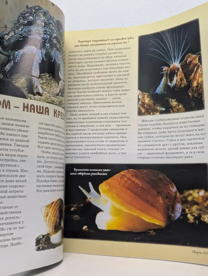 Свирель. Выпуск № 1/2015