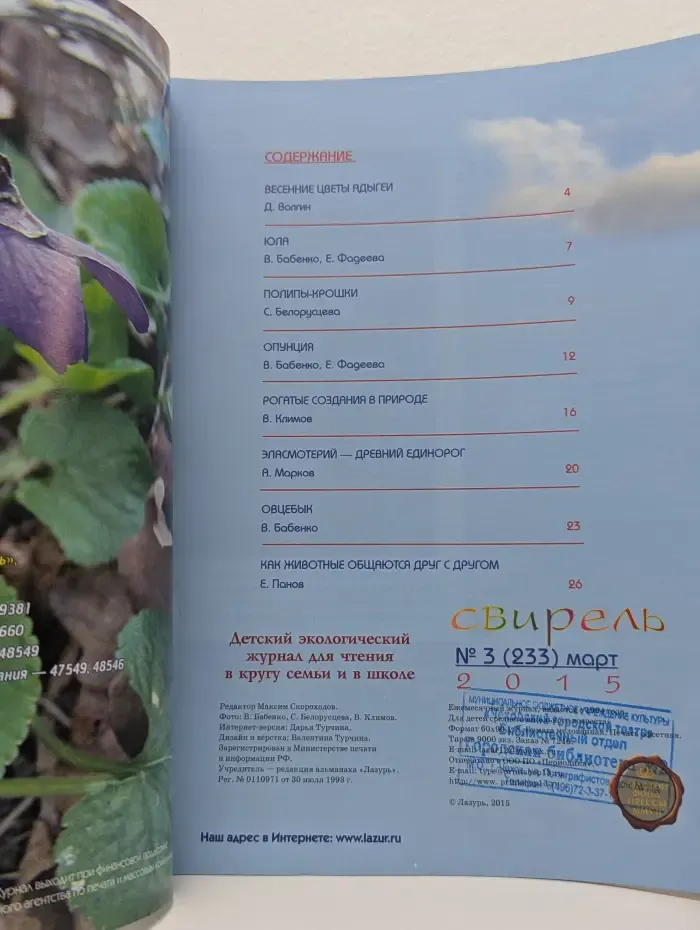 Свирель. Выпуск № 3/2015