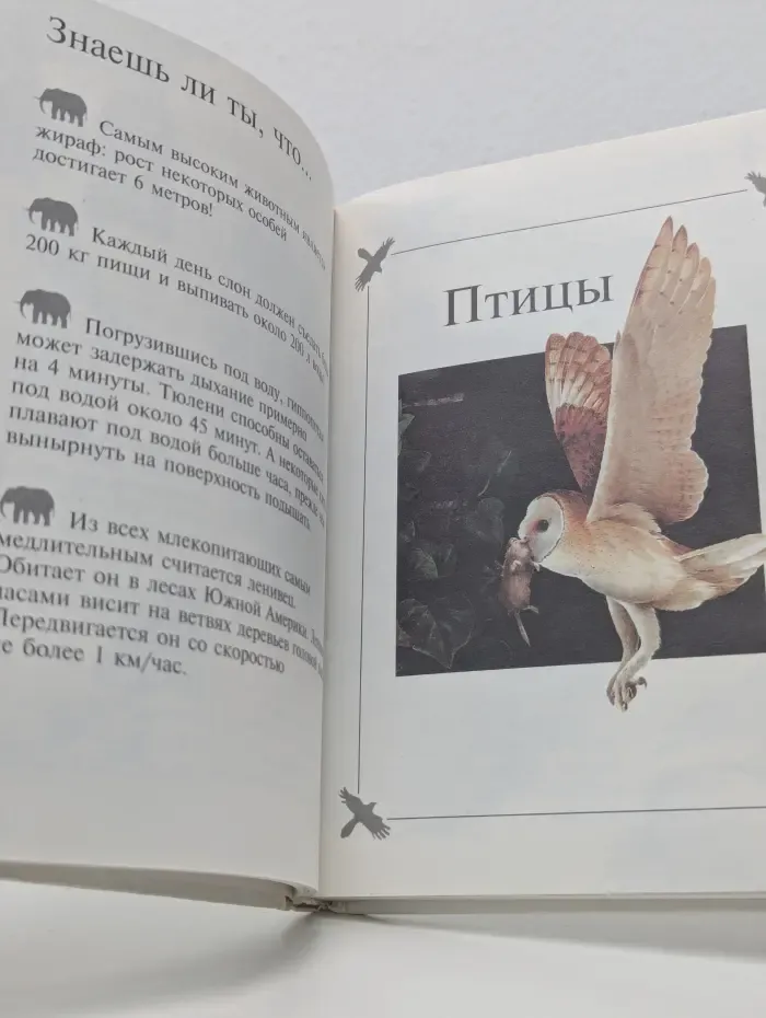 Моя первая энциклопедия. Животные