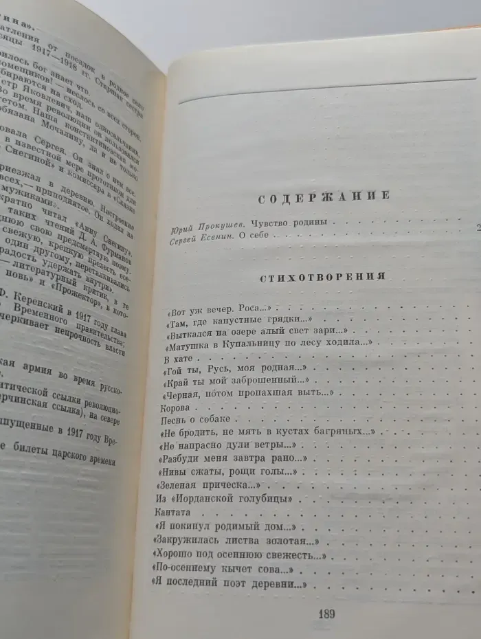 Школьная библиотека. С. А. Есенин. Стихотворения и поэмы
