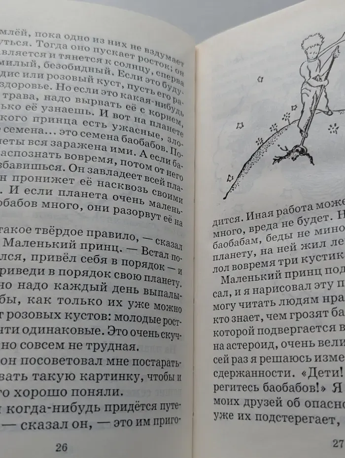 Школьная библиотека. Маленький принц