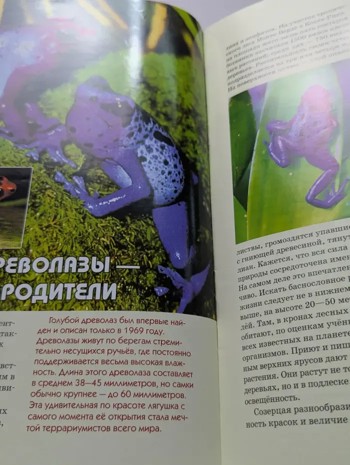 Свирель. Выпуск № 11/2016