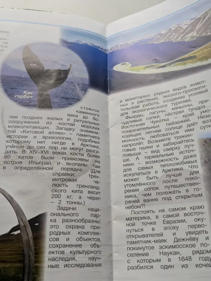 Пульс природы. Выпуск № 7/2022
