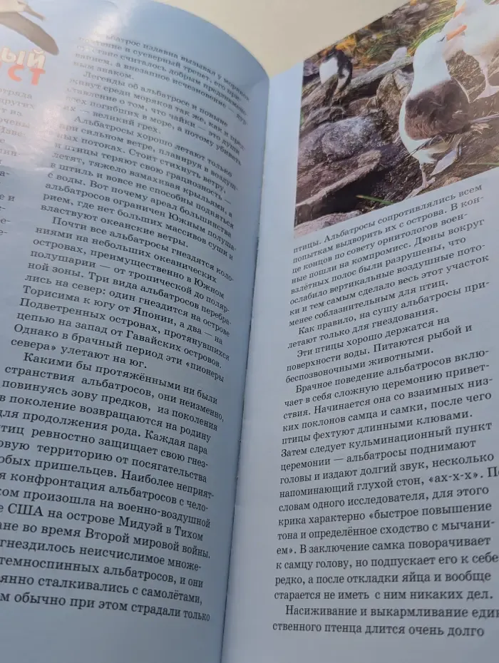 Свирель. Выпуск № 1/2019